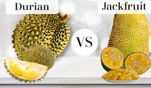 Durian vs Jackfruit
